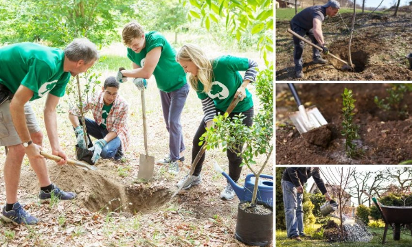 Screenshot 2026-01-28 151115